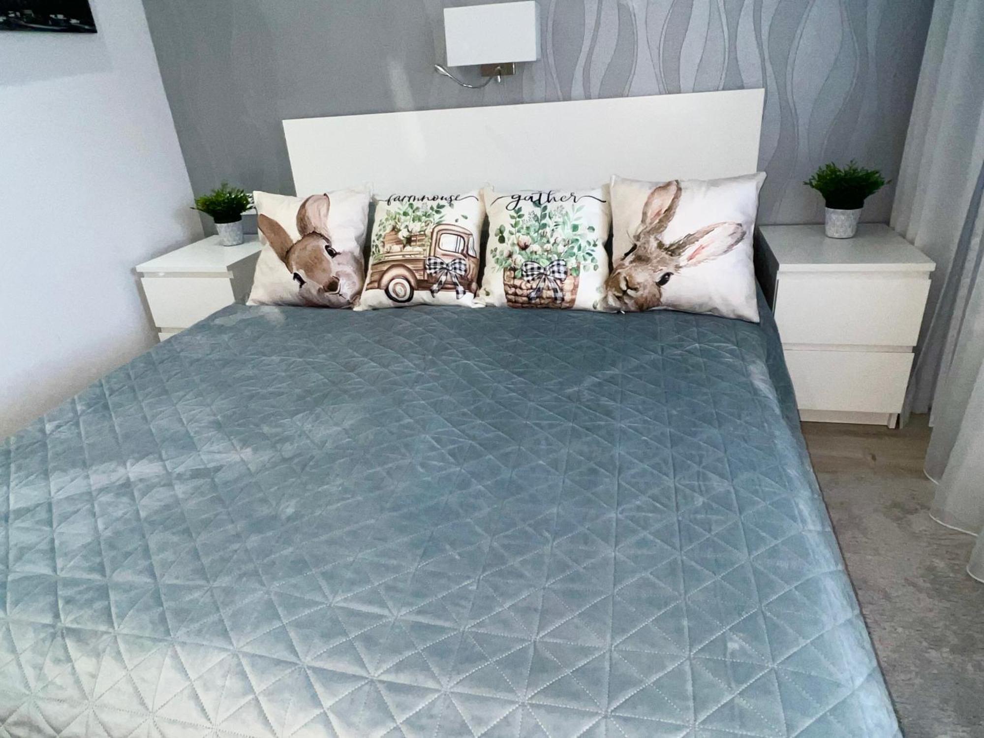 Downtown Dream Apartmans แซแก็ด ภายนอก รูปภาพ